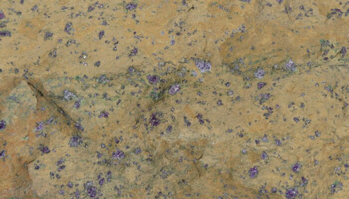 Granat-peridotitt har glassklare røde granat-mineraler (foto: Ane K. Engvik). Granat-peridotitt har glassklare røde granat-mineraler (foto: Ane K. Engvik).