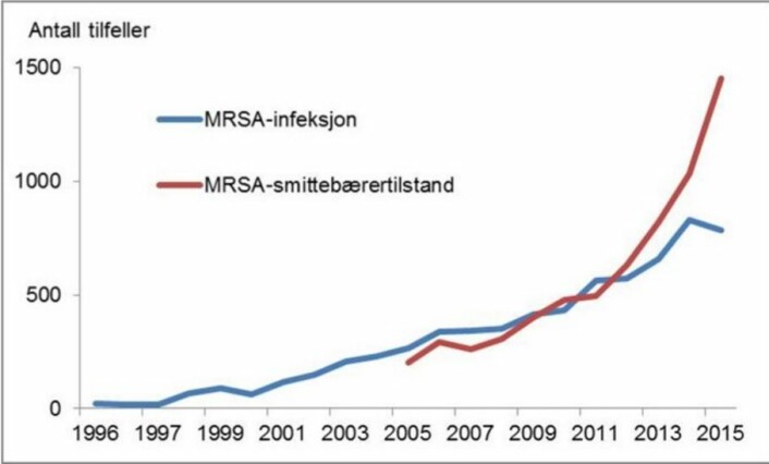 Grafen viser hvor stor økning det har vært i antall smittebærere og smittede med MRSA-infeksjoner. MRSA betyr antibiotikaresistente gule stafylokokker. Den røde grafen viser smittebærere, den blå viser infeksjoner. (Foto: (Graf: Folkehelseinstituttet))