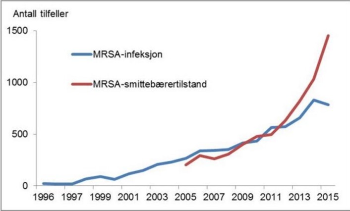 Grafen viser hvor stor økning det har vært i antall smittebærere og smittede med MRSA-infeksjoner. MRSA betyr antibiotikaresistente gule stafylokokker. Den røde grafen viser smittebærere, den blå viser infeksjoner. (Foto: (Graf: Folkehelseinstituttet)) Grafen viser hvor stor økning det har vært i antall smittebærere og smittede med MRSA-infeksjoner. MRSA betyr antibiotikaresistente gule stafylokokker. Den røde grafen viser smittebærere, den blå viser infeksjoner. (Foto: (Graf: Folkehelseinstituttet))