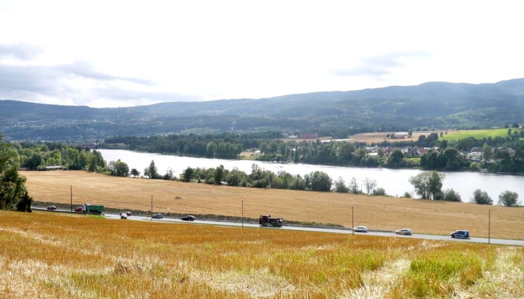 Resultatet på Steinberghaugen viser at det har fungert bra sjølv om jordflyttinga kunne vore utført på ein betre måte. Allereie i 1984 blei det anslått ei god avling med havre. (Foto: Siri Elise Dybdal) Resultatet på Steinberghaugen viser at det har fungert bra sjølv om jordflyttinga kunne vore utført på ein betre måte. Allereie i 1984 blei det anslått ei god avling med havre. (Foto: Siri Elise Dybdal)