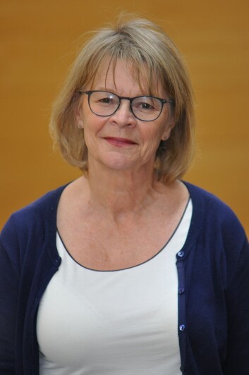 - Problemer med språkforståelsen blant adoptivbarn er ofte oversett i barnehagen, sier Anne-Lise Rygvold, forsker ved Institutt for spesialpedagogikk, Universitetet i Oslo. (Foto: UiO) - Problemer med språkforståelsen blant adoptivbarn er ofte oversett i barnehagen, sier Anne-Lise Rygvold, forsker ved Institutt for spesialpedagogikk, Universitetet i Oslo. (Foto: UiO)