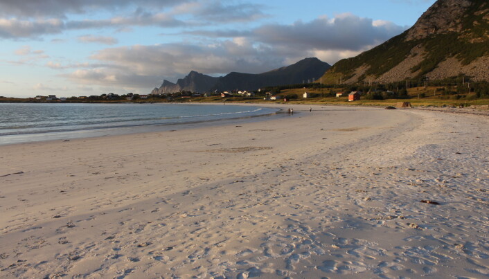 Rambergstranda i Flakstad kommune i Lofoten. (Foto: Aleksandra Jurus / NGU foto) Rambergstranda i Flakstad kommune i Lofoten. (Foto: Aleksandra Jurus / NGU foto)