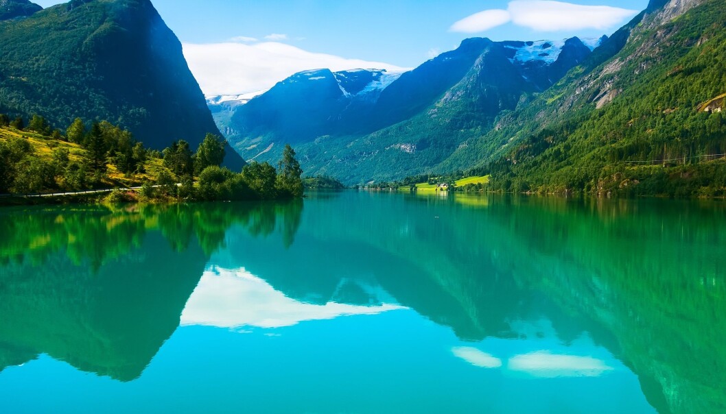 Algen Emiliania huxleyi er vanlegast i periodar med varmt vatn og rolege vindforhold. Den gir grøn farge i fjorden. (Foto: Nataliya Nazarova / Shutterstock / NTB scanpix) Algen Emiliania huxleyi er vanlegast i periodar med varmt vatn og rolege vindforhold. Den gir grøn farge i fjorden. (Foto: Nataliya Nazarova / Shutterstock / NTB scanpix)
