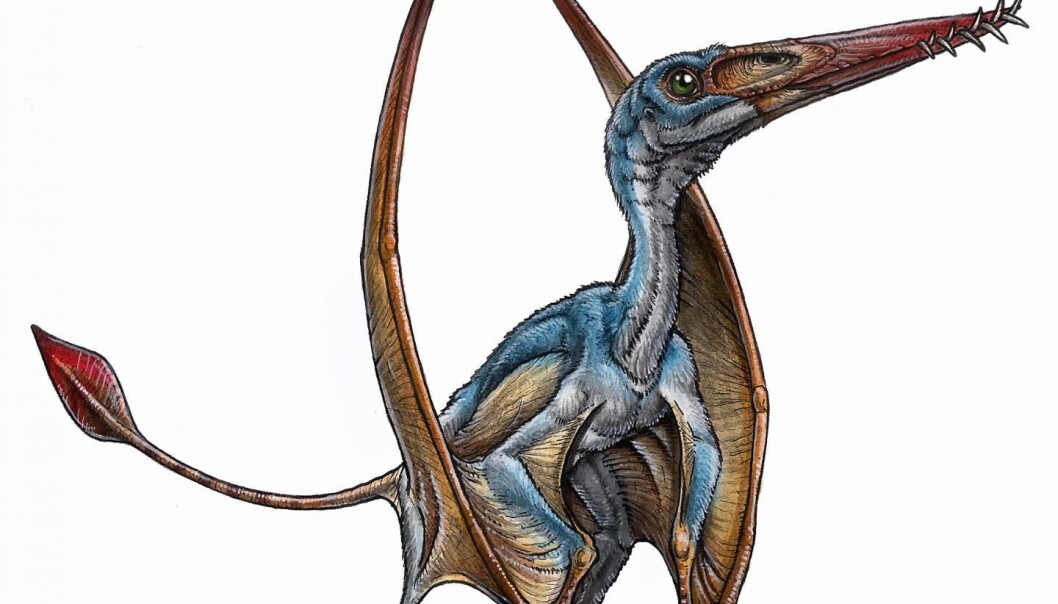 En paleoartists rekonstruksjon av en flygeøgle Gabriel Lío En paleoartists rekonstruksjon av en flygeøgle Gabriel Lío