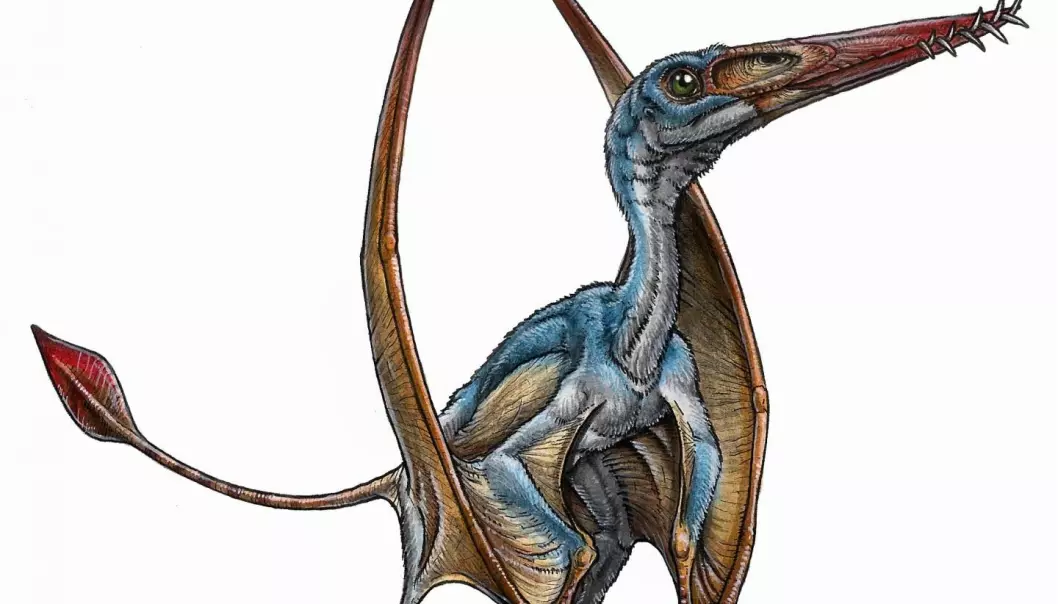 Fossiler av ny flygeøgle-art funnet i Sør-Amerika