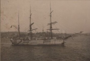 «Figaro» var en tremastet bark bygget ved Joh. C. Tecklenborg verft i Geestemünde, Tyskland i 1879. Det var den siste barken som ble bygget ved verftet. Skipet var 178,6 fot langt og 35,3 fot bredt. I 1902 ble det solgt til Chr. Nielsen & Co i Larvik og utstyrt som et hvalskip. (Foto: Larvik Sjøfartsmuseum) «Figaro» var en tremastet bark bygget ved Joh. C. Tecklenborg verft i Geestemünde, Tyskland i 1879. Det var den siste barken som ble bygget ved verftet. Skipet var 178,6 fot langt og 35,3 fot bredt. I 1902 ble det solgt til Chr. Nielsen & Co i Larvik og utstyrt som et hvalskip. (Foto: Larvik Sjøfartsmuseum)