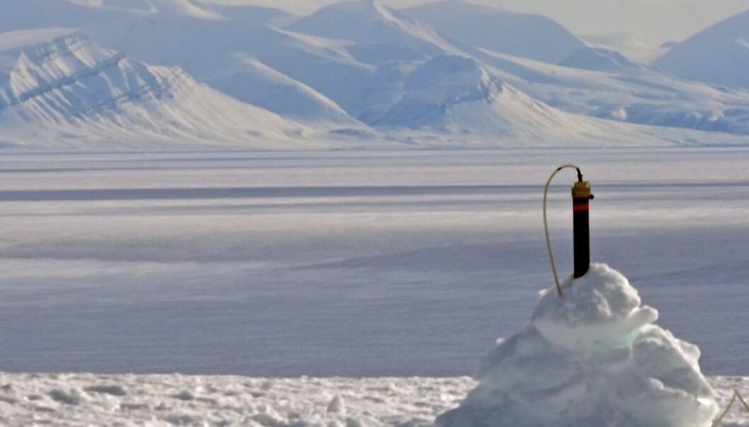 Fra 2013 til 2015 har Thomas Beka samlet data ved 80 slike stasjoner i den sentrale og nordvestlige delen av Spitsbergen. (Foto: Privat) Fra 2013 til 2015 har Thomas Beka samlet data ved 80 slike stasjoner i den sentrale og nordvestlige delen av Spitsbergen. (Foto: Privat)