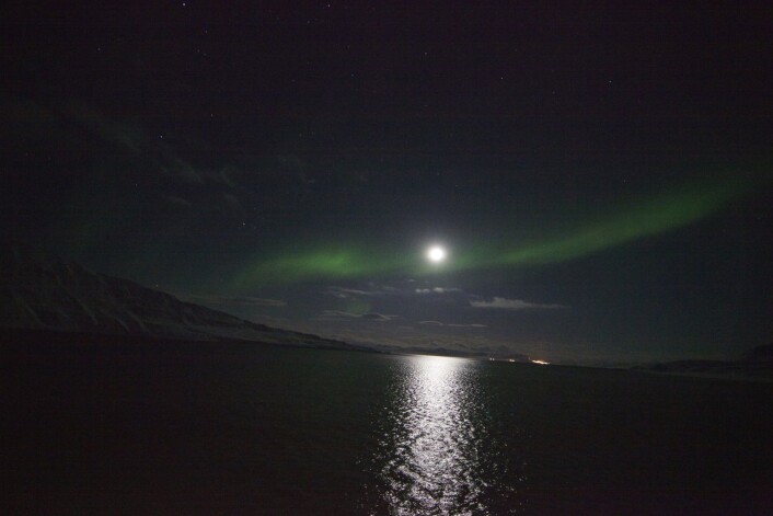 Selv lyset fra månen eller lyset fra skipet er nok til å påvirke dyrene som lever i polare farvann. (Foto: Geir Johnsen, NTNU, UNIS) Selv lyset fra månen eller lyset fra skipet er nok til å påvirke dyrene som lever i polare farvann. (Foto: Geir Johnsen, NTNU, UNIS)