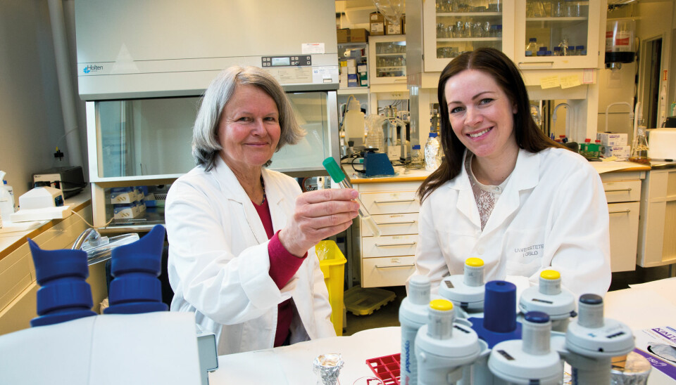 Anne Aamdal (t.v.) og Ingun Lund Witsø tester ut et nytt kjemisk fra UiO som skal hindre bakteriene i å samarbeideog danne biofilm. (Foto: Yngve Vogt)
