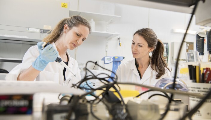 Ved Nasjonal kompetansetjeneste for bevegelsesforstyrrelser i Stavanger, forsker Jodi Maple Grødem (t.h.) på sammenhengen mellom Parkinsons sykdom og demens. Her er hun på laboratoriet sammen med kollega Marthe Førland. (Foto: Kim Laland). Ved Nasjonal kompetansetjeneste for bevegelsesforstyrrelser i Stavanger, forsker Jodi Maple Grødem (t.h.) på sammenhengen mellom Parkinsons sykdom og demens. Her er hun på laboratoriet sammen med kollega Marthe Førland. (Foto: Kim Laland).