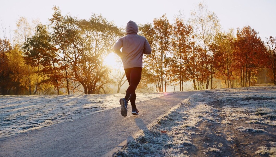 Når du trener, skiller kroppen ut mange gode hormoner, blant annet adrenalin, som vekker deg og gjør deg mer klar for dagen. (Illustrasjonsfoto: baranq / Shutterstock / NTB scanpix) Når du trener, skiller kroppen ut mange gode hormoner, blant annet adrenalin, som vekker deg og gjør deg mer klar for dagen. (Illustrasjonsfoto: baranq / Shutterstock / NTB scanpix)