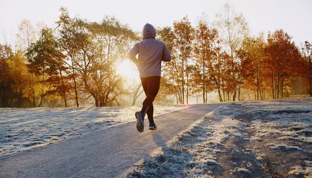 Når du trener, skiller kroppen ut mange gode hormoner, blant annet adrenalin, som vekker deg og gjør deg mer klar for dagen. (Illustrasjonsfoto:  baranq / Shutterstock / NTB scanpix)