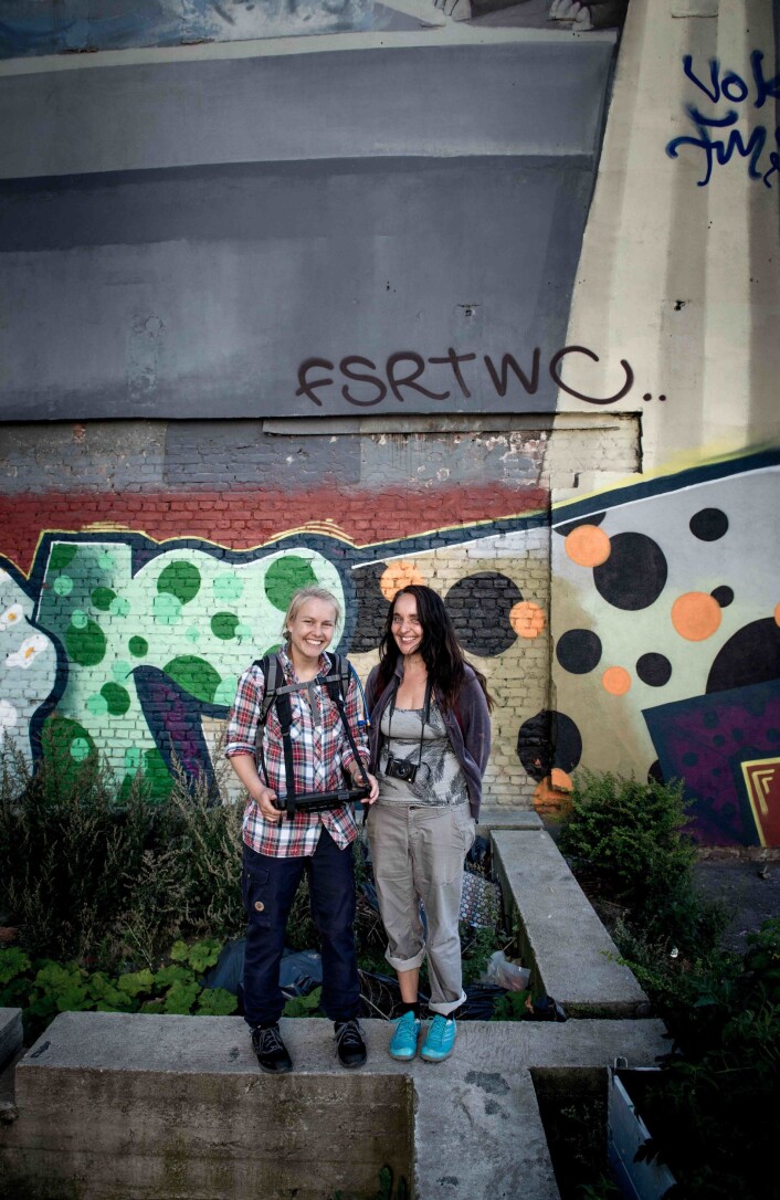 Elin og meg – storfornøyde etter å ha funnet en kjøkkenhage i Schweigaards gate. Foto: Knut Werner Lindeberg Alsén Elin og meg – storfornøyde etter å ha funnet en kjøkkenhage i Schweigaards gate. Foto: Knut Werner Lindeberg Alsén