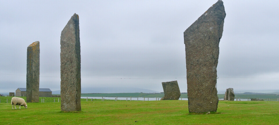 Bautasteinene i Stenness på Orknøyene. Steinene er del av en ring, og monumentet har vært en del av den nye undersøkelsen. De er mer enn 5000 år gamle. (Foto: Wilson44691/CC0)
