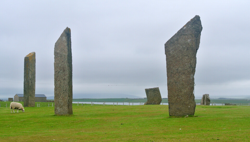 Bautasteinene i Stenness på Orknøyene. Steinene er del av en ring, og monumentet har vært en del av den nye undersøkelsen. De er mer enn 5000 år gamle. (Foto: Wilson44691/CC0)