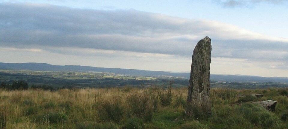 Bautastein i Cork i Irland. Noen vikinggraver ligger i nærheten av denne typen monumenter, som kan være tusenvis av år gamle.  (Foto: Ceoil)