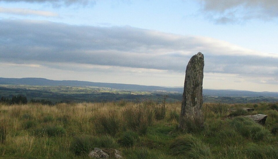 Bautastein i Cork i Irland. Noen vikinggraver ligger i nærheten av denne typen monumenter, som kan være tusenvis av år gamle.  (Foto: Ceoil)
