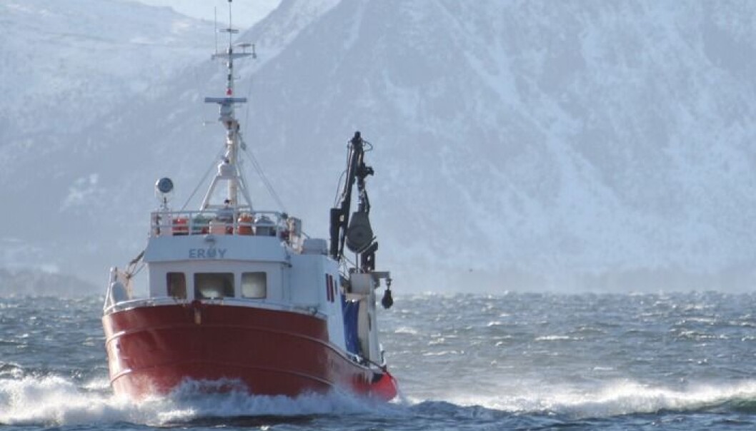 I arbeidet samles det inn informasjon om alt fra biologiske forhold langs kysten og fiskens vandringer til den historiske prisfastsettelsen på hvitfisk både i Norge, Danmark, Island og Storbritannia. (Foto: Frank Gregersen, Nofima) I arbeidet samles det inn informasjon om alt fra biologiske forhold langs kysten og fiskens vandringer til den historiske prisfastsettelsen på hvitfisk både i Norge, Danmark, Island og Storbritannia. (Foto: Frank Gregersen, Nofima)
