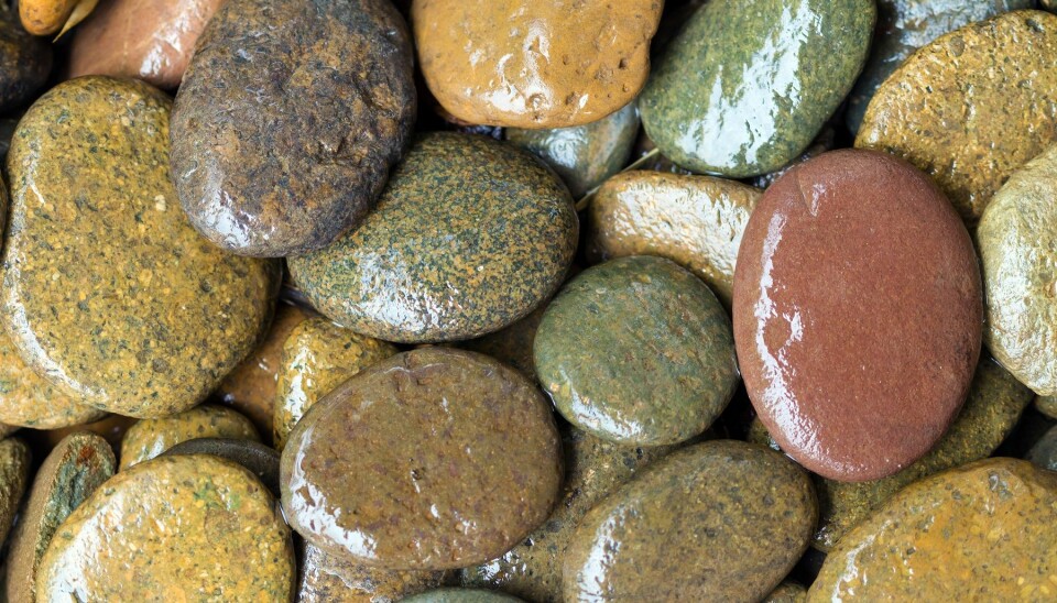 Når steiner på bunnen av en elv er glatte, er årsaken ofte at de er dekket av biofilm. (Foto: Colourbox)