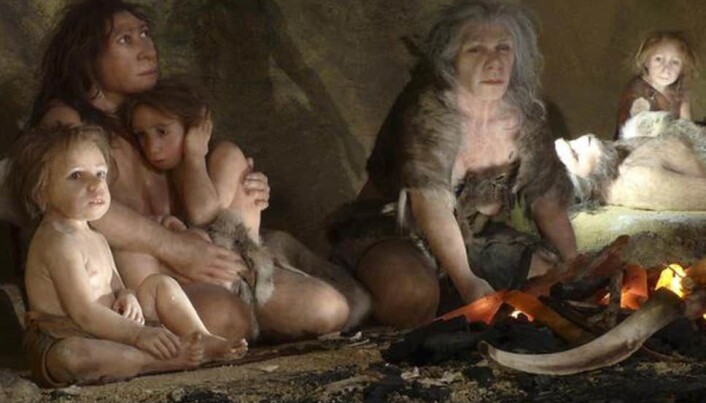 Nåværende forskning tyder på at neandertalerne døde ut over en lengre periode, fra 4000 til 10 000 år. (Foto: Reuters) Nåværende forskning tyder på at neandertalerne døde ut over en lengre periode, fra 4000 til 10 000 år. (Foto: Reuters)