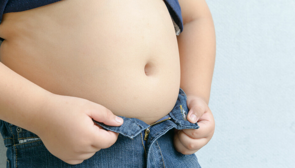 Ifølge forskerne i denne undersøkelsen, handler overvekt blant unge om dårlige matvaner.  (Foto: kwanchai.c, Shutterstock, NTB scanpix)