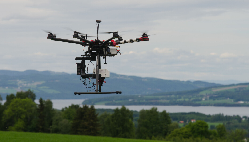 Forskere vil bruke droner til å kartlegge avlinger på rotnivå – og det før høsting. (Foto: Morten Günther) Forskere vil bruke droner til å kartlegge avlinger på rotnivå – og det før høsting. (Foto: Morten Günther)