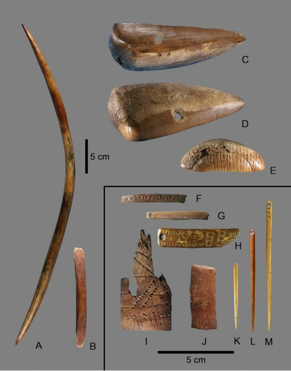 Leiren Jana Rhs er oppkalt etter neshornet, da forskere blant annet har funnet redskaper laget av horn fra neshorn og støttenner fra mammuter i nærheten. (Foto: Vladimir Pitulko)