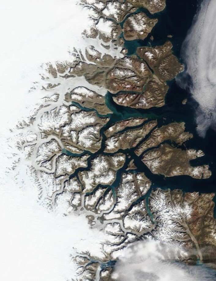 Scoresbysund på Grønlands østkyst, sett fra NASAs satellitt Terra 11 august. (Bilde: NASA Terra MODIS) Scoresbysund på Grønlands østkyst, sett fra NASAs satellitt Terra 11 august. (Bilde: NASA Terra MODIS)