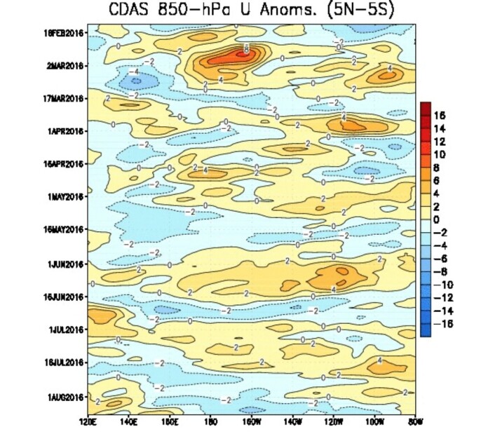 Mye passatvind (blått) siste uken. Kanskje nok til å sparke i gang en La Nina i Stillehavet? (Bilde: NOAA) Mye passatvind (blått) siste uken. Kanskje nok til å sparke i gang en La Nina i Stillehavet? (Bilde: NOAA)
