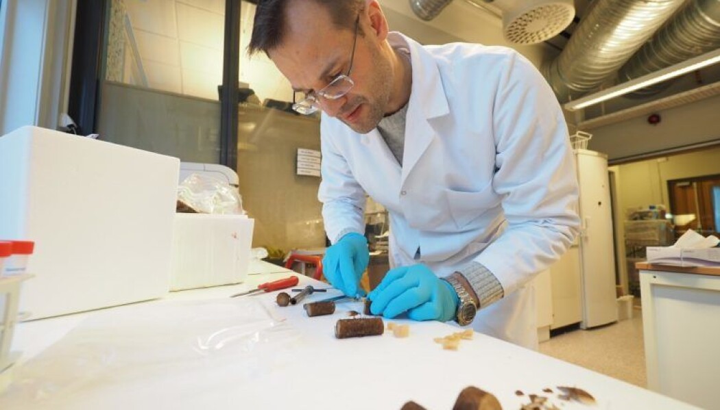 – Vi vil utnytte flere stoffer i taren, oppsummerer professor Finn Lillelund Aachmann. (Foto: Per Henning, NTNU) – Vi vil utnytte flere stoffer i taren, oppsummerer professor Finn Lillelund Aachmann. (Foto: Per Henning, NTNU)