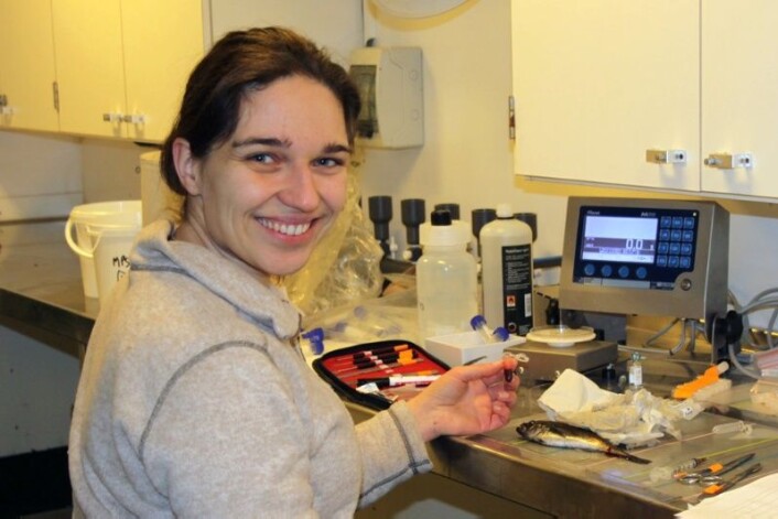 Jasmine Nahrgang er førsteamanuensis ved UiT. (Foto: UiT Norges arktiske universitet) Jasmine Nahrgang er førsteamanuensis ved UiT. (Foto: UiT Norges arktiske universitet)