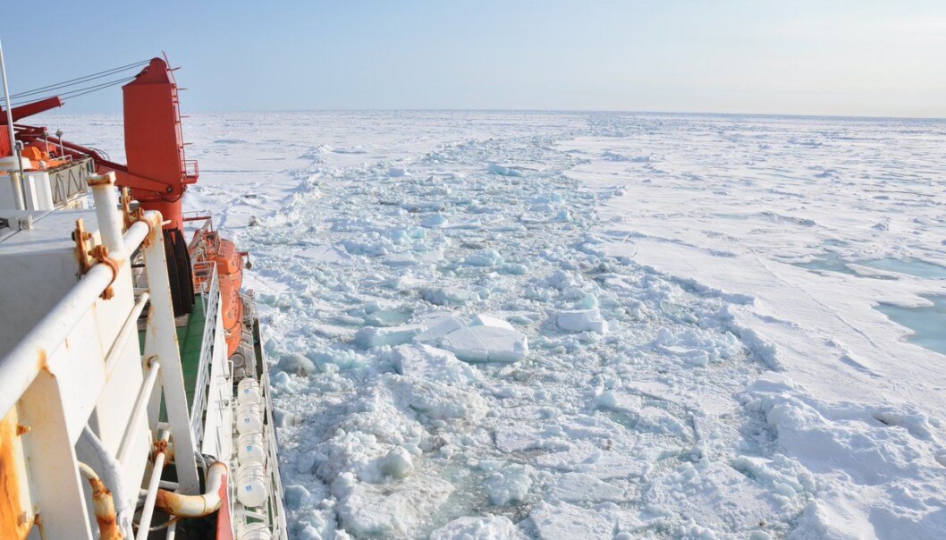 For 50 millioner år siden var temperaturen her i Polhavet trolig 15–20 grader høyere enn i dag. (Foto: Matthias Forwick) For 50 millioner år siden var temperaturen her i Polhavet trolig 15–20 grader høyere enn i dag. (Foto: Matthias Forwick)