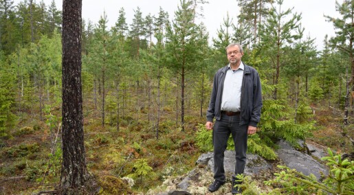 Import av tømmer og trevarer bryter norsk lov