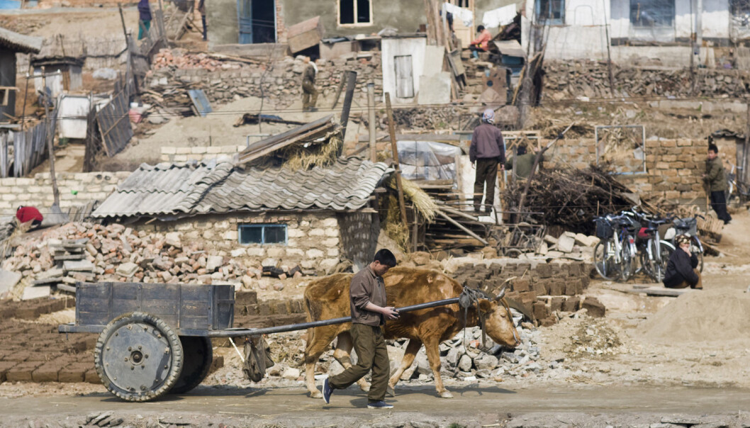 Sør-Korea er en av verdens rikeste og mest velfungerende stater, mens Nord-Korea er et lutfattig diktatur. Hvorfor er det slik? På bildet ser vi nordkoreanske arbeidere sør for hovedstaden Pyongyang. (Foto: Prevost Vincent, Hemis.fr, NTB scanpix) Sør-Korea er en av verdens rikeste og mest velfungerende stater, mens Nord-Korea er et lutfattig diktatur. Hvorfor er det slik? På bildet ser vi nordkoreanske arbeidere sør for hovedstaden Pyongyang. (Foto: Prevost Vincent, Hemis.fr, NTB scanpix)