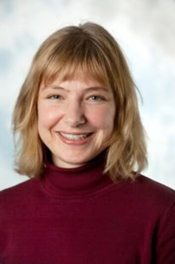 Helene Gundhus. (Foto: Politihøgskolen) Helene Gundhus. (Foto: Politihøgskolen)