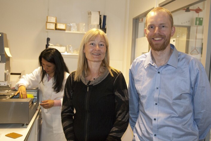 Bjørn Altermark (til høyre) og Hilde Hansen forsker på bakterier og plast. I bakgrunnen står avdelingsingeniør Man Kumari Gurung. (Foto: Karine Nigar Aarskog) Bjørn Altermark (til høyre) og Hilde Hansen forsker på bakterier og plast. I bakgrunnen står avdelingsingeniør Man Kumari Gurung. (Foto: Karine Nigar Aarskog)