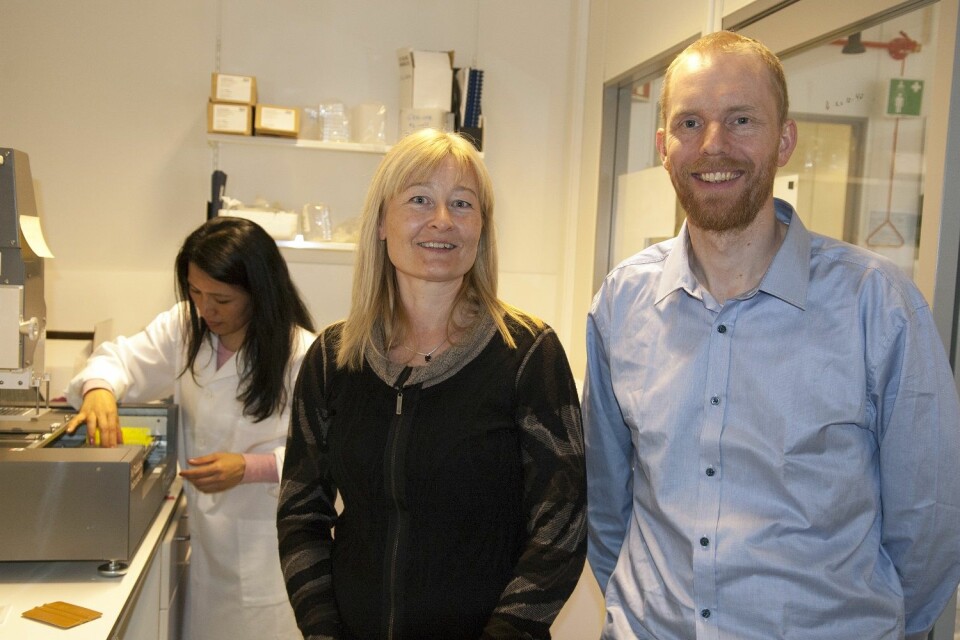 Bjørn Altermark (til høyre) og Hilde Hansen forsker på bakterier og plast. I bakgrunnen står avdelingsingeniør Man Kumari Gurung. (Foto: Karine Nigar Aarskog)