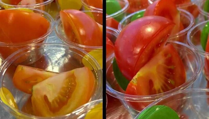 Flere mente den norske tomaten hadde finere rødfarge. Tomatene til venstre er importerte fra Spania, mens de til høyre er dyrket frem i Norge. (Foto: Jorunn Sofie Hansen / Nofima) Flere mente den norske tomaten hadde finere rødfarge. Tomatene til venstre er importerte fra Spania, mens de til høyre er dyrket frem i Norge. (Foto: Jorunn Sofie Hansen / Nofima)