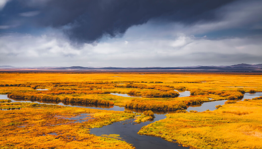 Våtmark er én av kildene til metanutslipp. Men forskerne er ikke sikre på hva som er kilden til den økte mengden metan i atmosfæren. (Illustrasjonsfoto: redstone / Shutterstock / NTB scanpix) Våtmark er én av kildene til metanutslipp. Men forskerne er ikke sikre på hva som er kilden til den økte mengden metan i atmosfæren. (Illustrasjonsfoto: redstone / Shutterstock / NTB scanpix)