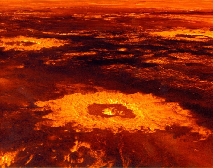 Overflaten av Venus med kratere sett ved hjelp av radar og kunstige farger. (Foto: NASA) Overflaten av Venus med kratere sett ved hjelp av radar og kunstige farger. (Foto: NASA)
