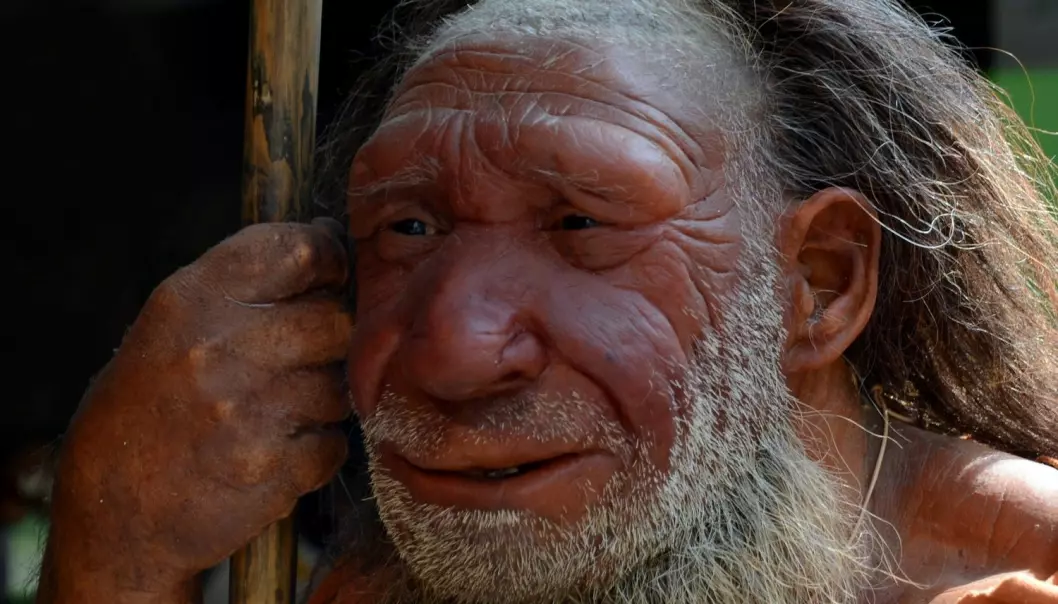 Neandertalernes Y-kromosom - finnes det blant oss i dag?