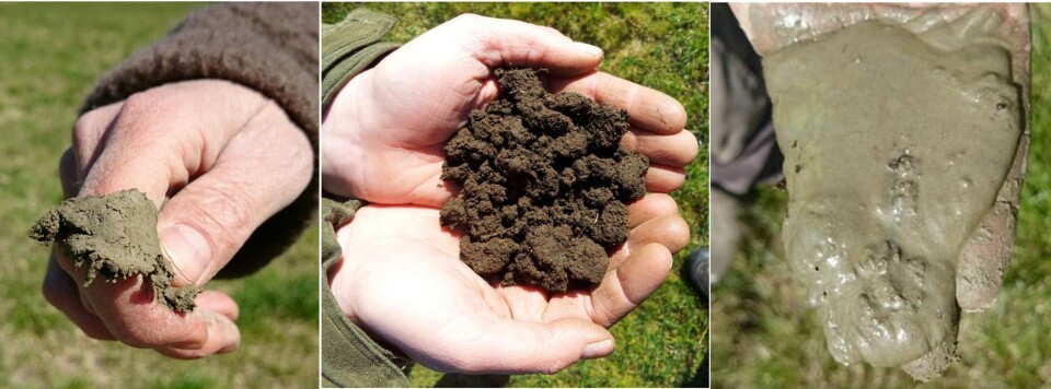 Til venstre: Leire. Til høyre: Silt. (Foto: Siri Svendgård-Stokke). I midten: Svært fruktbar jord fra Stavanger-området (Foto: Åge Nyborg).