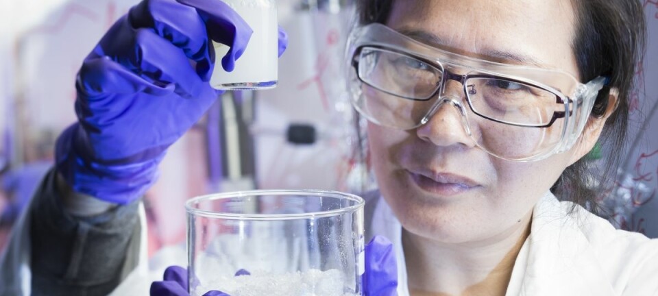 Forsker Juan Yang håper gel-klumpen i flasken vil bidra til økt oljeutvinning. Skåla til høyre rommer ett av råstoffene: milliarder av ørsmå partikler, her oppkonsentrert fra væsken de er født i.     (Foto: Werner Juvik / SINTEF)