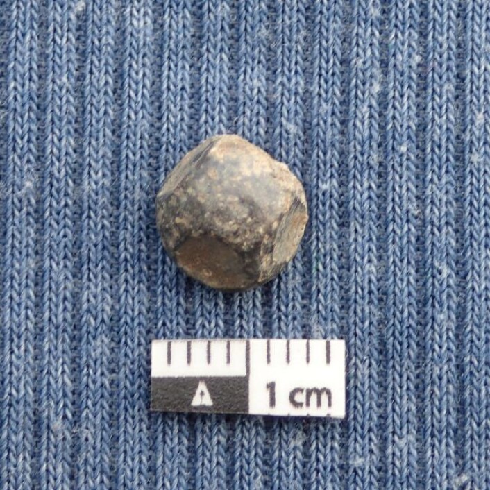Det mulige vektloddet var svært lite, under 1 cm i diameter. Her sett ovenfra Foto: Marte Mokkelbost, NTNU Vitenskapsmuseet. Det mulige vektloddet var svært lite, under 1 cm i diameter. Her sett ovenfra Foto: Marte Mokkelbost, NTNU Vitenskapsmuseet.