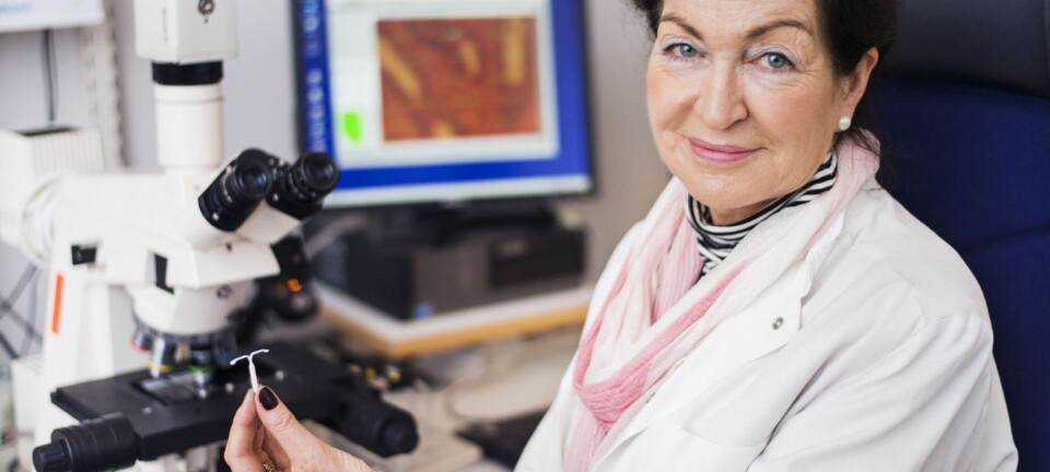 En slik liten hormonspiral forhindrer og stanser utviklingen av livmorkreft. Forsker Anne Ørbo ønsker at alle kvinner etter fylte 45 år tar spiralen i bruk. Hun presiserer at forskningen hennes er uavhengig og ikke er sponset av noen legemiddelprodusent.  (Foto: Adnan Icagic)