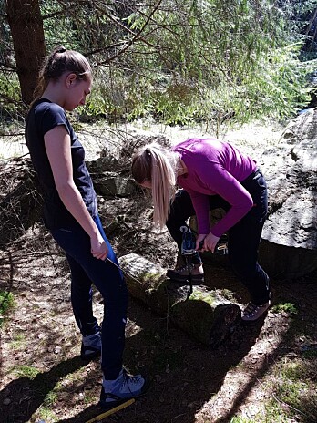 Her bruker Mina-Johanne drill med et kjernebor for å ta vedprøver fra en av stokkene mine. (Foto: NINA) Her bruker Mina-Johanne drill med et kjernebor for å ta vedprøver fra en av stokkene mine. (Foto: NINA)