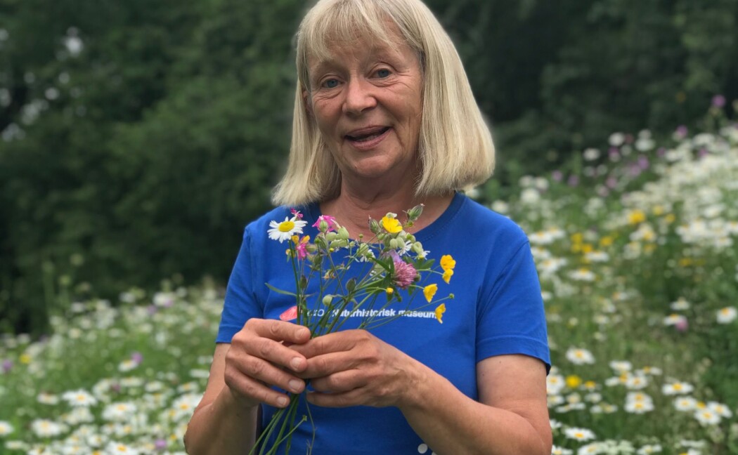 Vi må lære barna våre mer om blomster, mener botaniker Kristina Bjureke. Fortell ungene navn på ville planter, i stedet for å mase om hvor langt de har gått. (Foto: Siw Ellen Jakobsen) Vi må lære barna våre mer om blomster, mener botaniker Kristina Bjureke. Fortell ungene navn på ville planter, i stedet for å mase om hvor langt de har gått. (Foto: Siw Ellen Jakobsen)