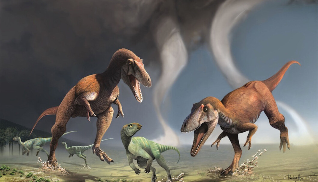 Gualicho shinyae har akkurat like pinglete armer som tyrannosaurus. Hva i all verden er de godt for? (Illustrasjon: Jorge González & Pablo Lara) Gualicho shinyae har akkurat like pinglete armer som tyrannosaurus. Hva i all verden er de godt for? (Illustrasjon: Jorge González & Pablo Lara)