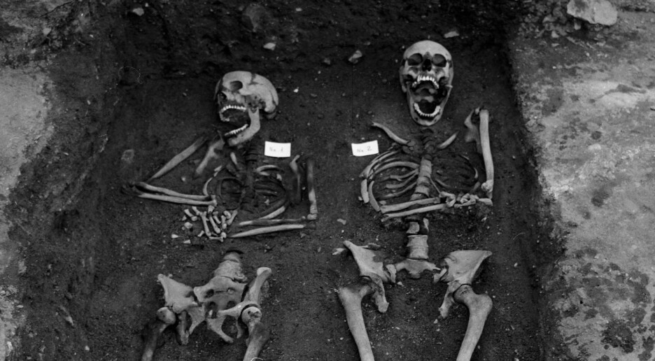 Skjeletter avslører matvanene til middelalderens osloborgere