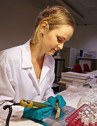 Elise Naumann er forsker ved NIKU. (Foto: Privat) Elise Naumann er forsker ved NIKU. (Foto: Privat)